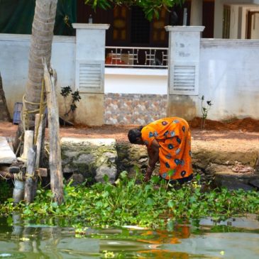 Cochin – Backwaters …..