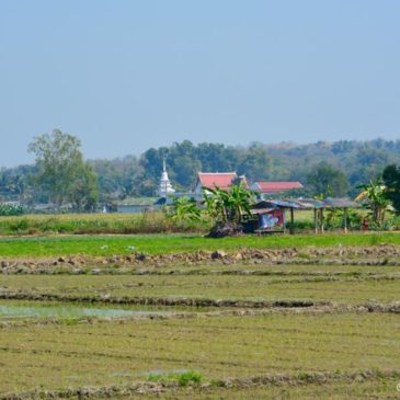 Auf dem Weg nach Chiang Rai