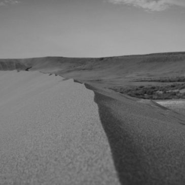 Bruneau Dunes State Park