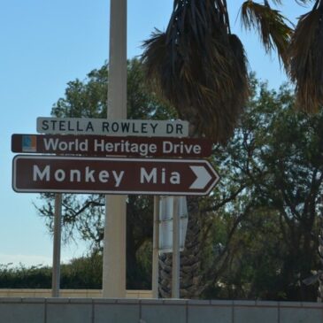 Shark Bay Monkey Mia