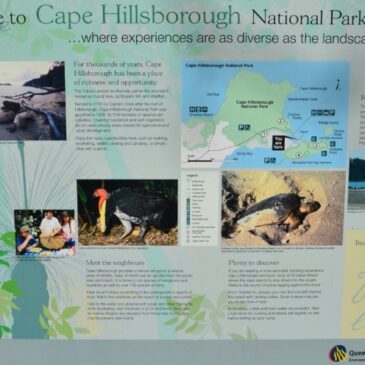 Cape Hillsborough Nationalpark