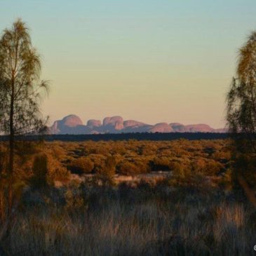 Kata Tjuta (Olgas)